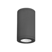 WAC Lighting Ceiling Mounted 