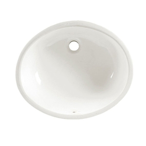 A0497221020 Ovalyn Undermount Style Bathroom Sink - White