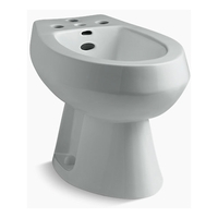  San Tropez Vertical Spray Style Bidet - Ice Grey