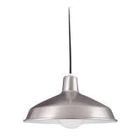  Painted Shade Pendant Down Light Pendant Light - Brushed Stainless