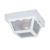 Ceiling Mounted Light 8-1/4" Width