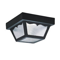 Ceiling Mounted Light 8-1/4" Width