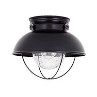  Sebring Ceiling Ceiling Mounted - Black