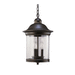 Generation Lighting GL6008171 Antique Bronze Outdoor Hanging Lantern