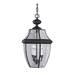 Generation Lighting GL603912 Black Outdoor Hanging Lantern