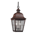 Generation Lighting GL606244 Weathered Copper Outdoor Hanging Lantern