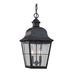 Generation Lighting GL606246 Oxidized Bronze Outdoor Hanging Lantern