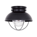 Generation Lighting GL886912 Black Outdoor Ceiling Mounted Light