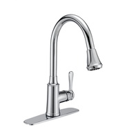 Pull-Out Spray Kitchen Faucet