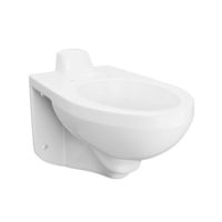 One Piece Toilet Elongated bowl