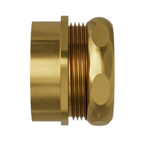 Adaptors Straight