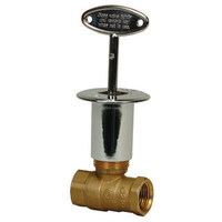 Log-Lighter Valves