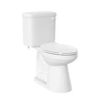 Two Piece Toilet Elongated bowl