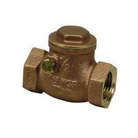  Check Valve Valve - N/A