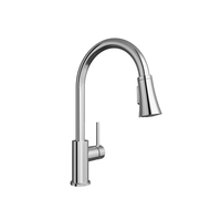 Pull-Out Spray Kitchen Faucet
