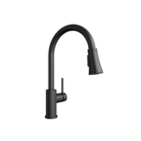 Pull-Out Spray Kitchen Faucet Pull-Out Spray Kitchen Faucet
