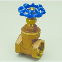  Gate Valve Valve - N/A