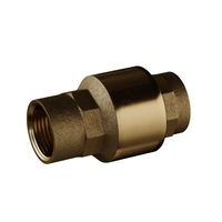 Check Valves 1/2 in. Cast Brass FNPT Spring Check Valve