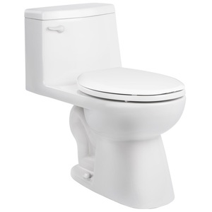 PF9541WH Galveston One Piece Toilet - White