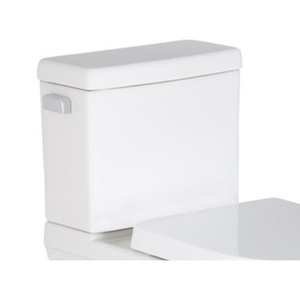 PF9612RWH Pyne Toilet Tank Part - White