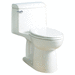 American Standard A2004314020 White One Piece Toilet