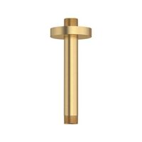  Universal Shower Arm Shower Accessory - Brushed Cool Sunrise