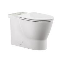 Two Piece Toilet Elongated bowl