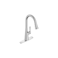 Pull-Out Spray Kitchen Faucet