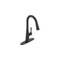 Pull-Out Spray Kitchen Faucet Pull-Out Spray Kitchen Faucet