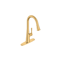 Pull-Out Spray Kitchen Faucet