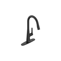 Pull-Out Spray Kitchen Faucet Pull-Out Spray Kitchen Faucet