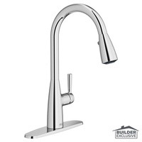 Pull-Out Spray Kitchen Faucet