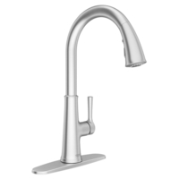 Pull-Out Spray Kitchen Faucet