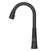 Pull-Out Spray Kitchen Faucet Pull-Out Spray Kitchen Faucet