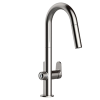  Beale Pull-Out Spray Kitchen Faucet - Stainless Steel