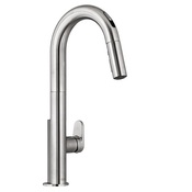 Beale Pull-Out Spray Kitchen Faucet - Stainless Steel