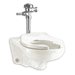 American Standard A2296019EC020 White One Piece Toilet