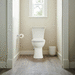 American Standard A204AA203020 White ADA Compliant Toilet