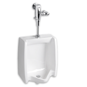 A6590525020 FloWise Urinal Urinal - Polished Chrome