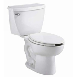 A2462100020 FloWise Two Piece Toilet - White