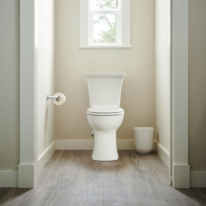 A204BA203020 Edgemere ADA Compliant Toilet - White
