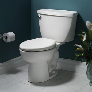 A2462100020 FloWise Two Piece Toilet - White