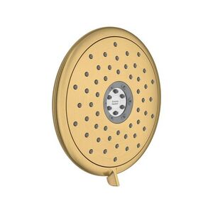 A9038074GN0 Spectra Shower Head Shower Accessory - Brushed Cool Sunrise