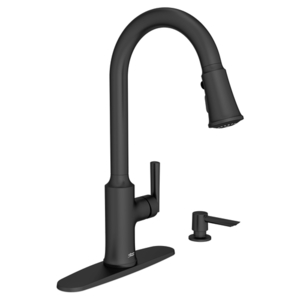 A7421300243 Raviv Pull-Out Spray Kitchen Faucet - Matte Black