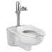 American Standard A2294011EC020 White One Piece Toilet