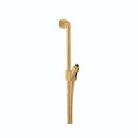  Citterio Slide Bar Shower Accessory - Brushed Gold Optic