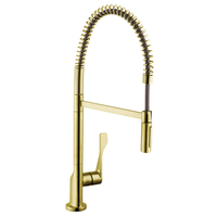  Citterio Single Handle Kitchen Faucet - Brushed Gold Optic