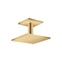  ShowerSolutions Shower Head Shower Accessory - Brushed Gold Optic