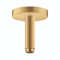  ShowerSolutions Shower Arm Shower Accessory - Brushed Gold Optic