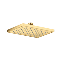  ShowerSolutions Shower Head Shower Accessory - Brushed Gold Optic